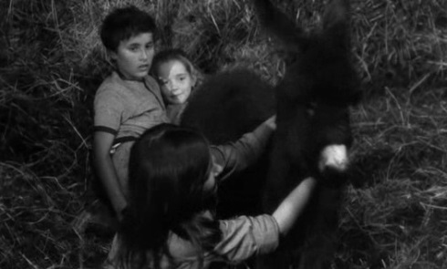 2. Niños