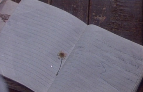 4. Una flor en el cuaderno de Mohamed