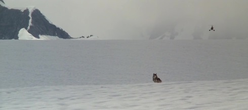 3. Huída en la nieve
