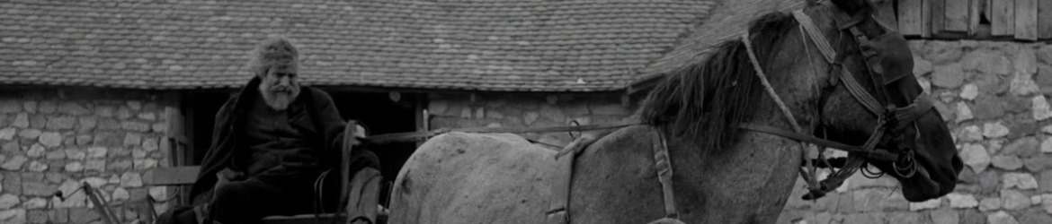 El caballo de Turín El caballo de Turín